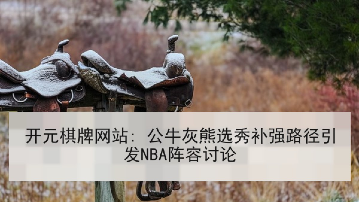 开元棋牌网站: 公牛灰熊选秀补强路径引发NBA阵容讨论
