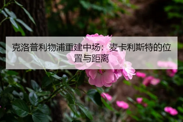 ke-luo-pu-li-wu-pu-chong-jian-zhong-chang-mai-ka-li-si-te-de-wei-zhi-yu-ju-li-3-505.jpg