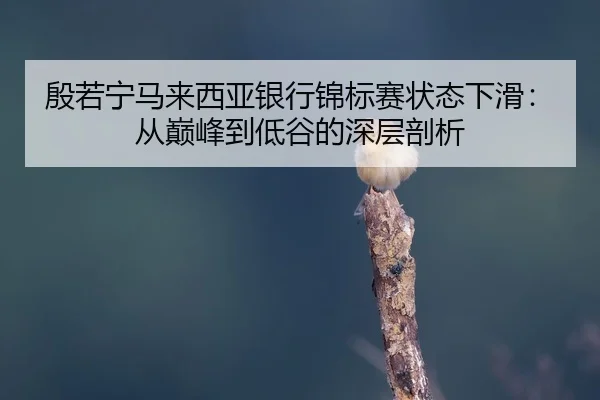 yin-ruo-ning-ma-lai-xi-ya-yin-hang-jin-biao-sai-zhuang-tai-xia-hua-cong-dian-feng-dao-di-gu-de-shen-ceng-pou-xi-2-447.jpg