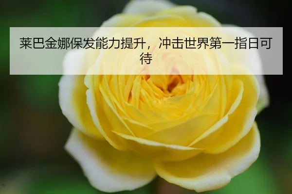 lai-ba-jin-na-bao-fa-neng-li-ti-sheng-chong-ji-shi-jie-di-yi-zhi-ri-ke-dai-3-689.jpg