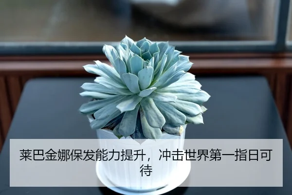 莱巴金娜保发能力提升，冲击世界第一指日可待