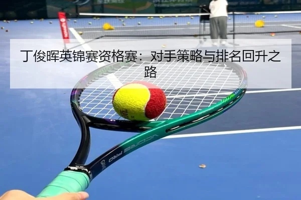 ding-jun-hui-ying-jin-sai-zi-ge-sai-dui-shou-ce-lve-yu-pai-ming-hui-sheng-zhi-lu-3-299.jpg