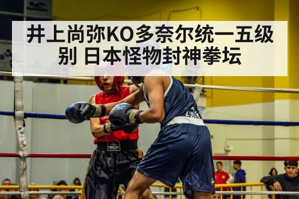 井上尚弥KO多奈尔统一五级别 日本怪物封神拳坛