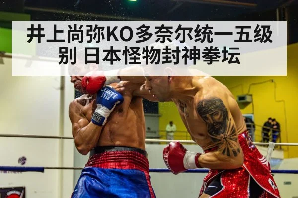 boxer knockout punch